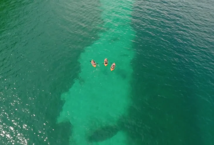 Du Bourget au Rhône en liberté