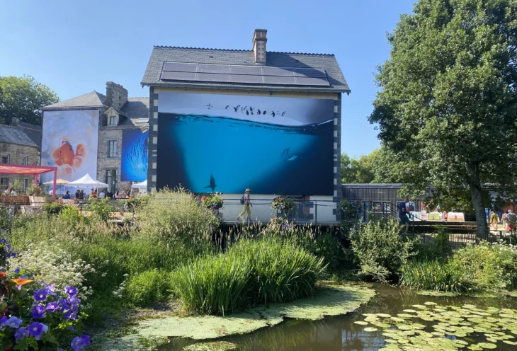 Au fil des rivières bretonnes en liberté