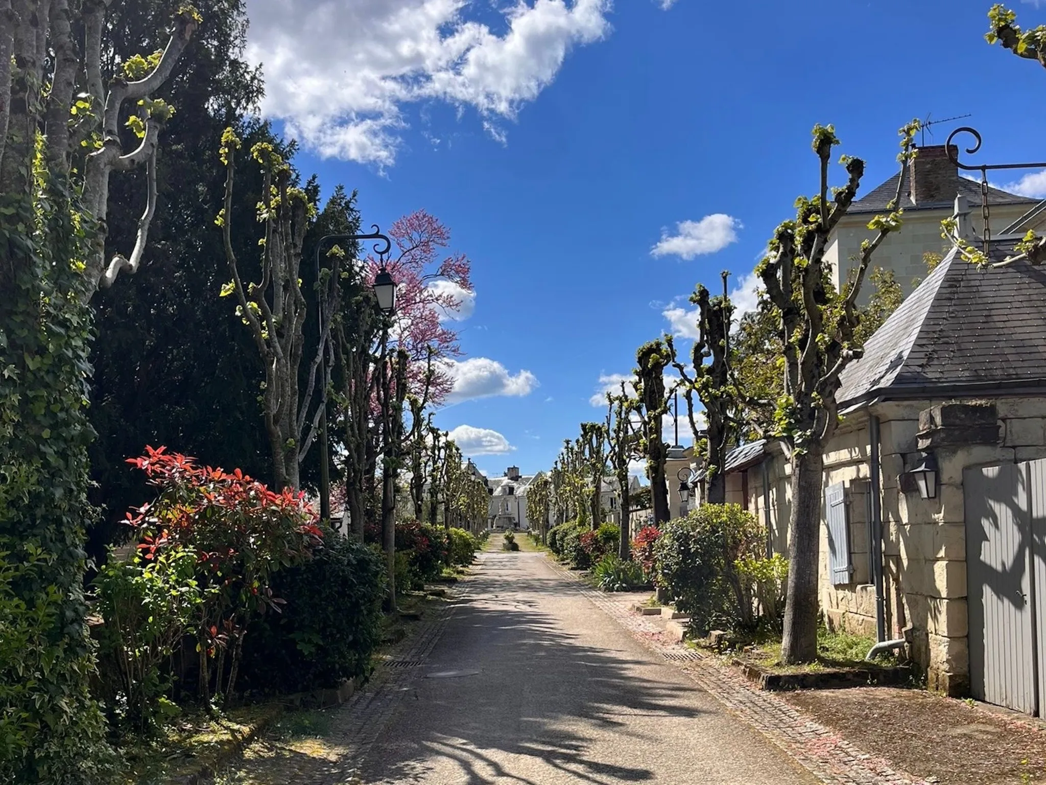 loire-pont-ciel-rose