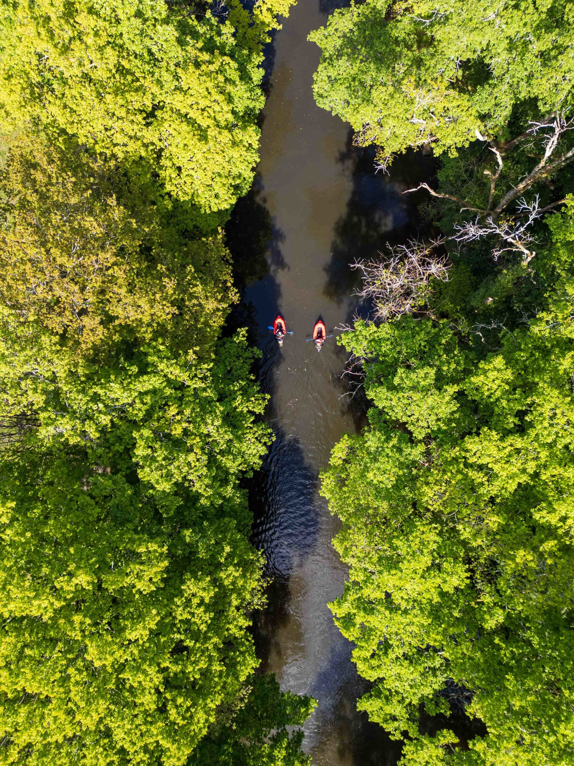 Au fil des rivières bretonnes en liberté
